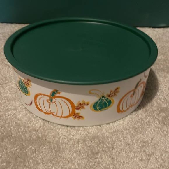 Tupperware fall storage container - Picture 2 of 8